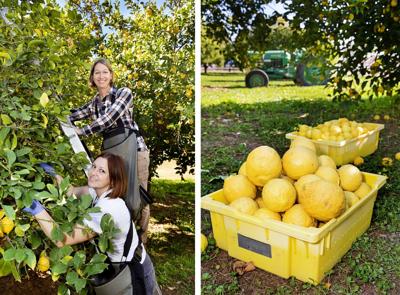 Kelly Saxer and Katie Critchley