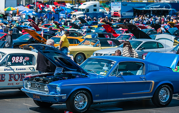 Mustang 50th anniversary