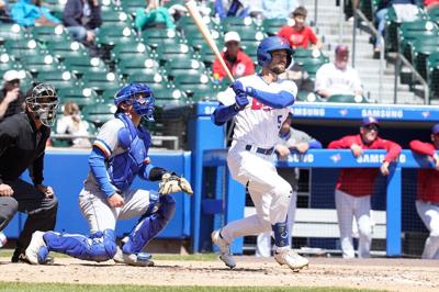 Buffalo Bisons (copy)