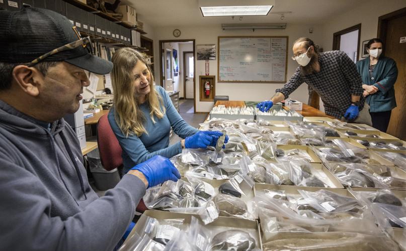 Inspecting the ancient precontact artifacts dug up on Seattle City Light property within the North Cascades National Park near Ross Lake are, Scott Schuyler from the Upper Skagit Tribe, Andrea Weiser, an archaeologist with Seattle City Light, Carl Sholi...