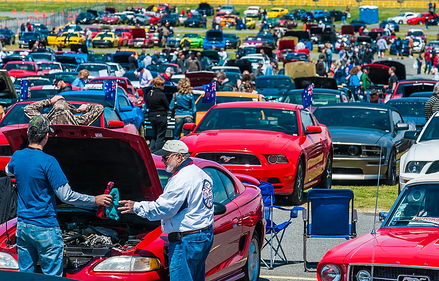Mustang 50th anniversary