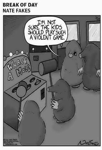 Page B6 eedition image