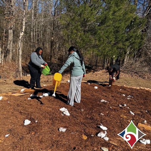 Harrisburg Youth Council