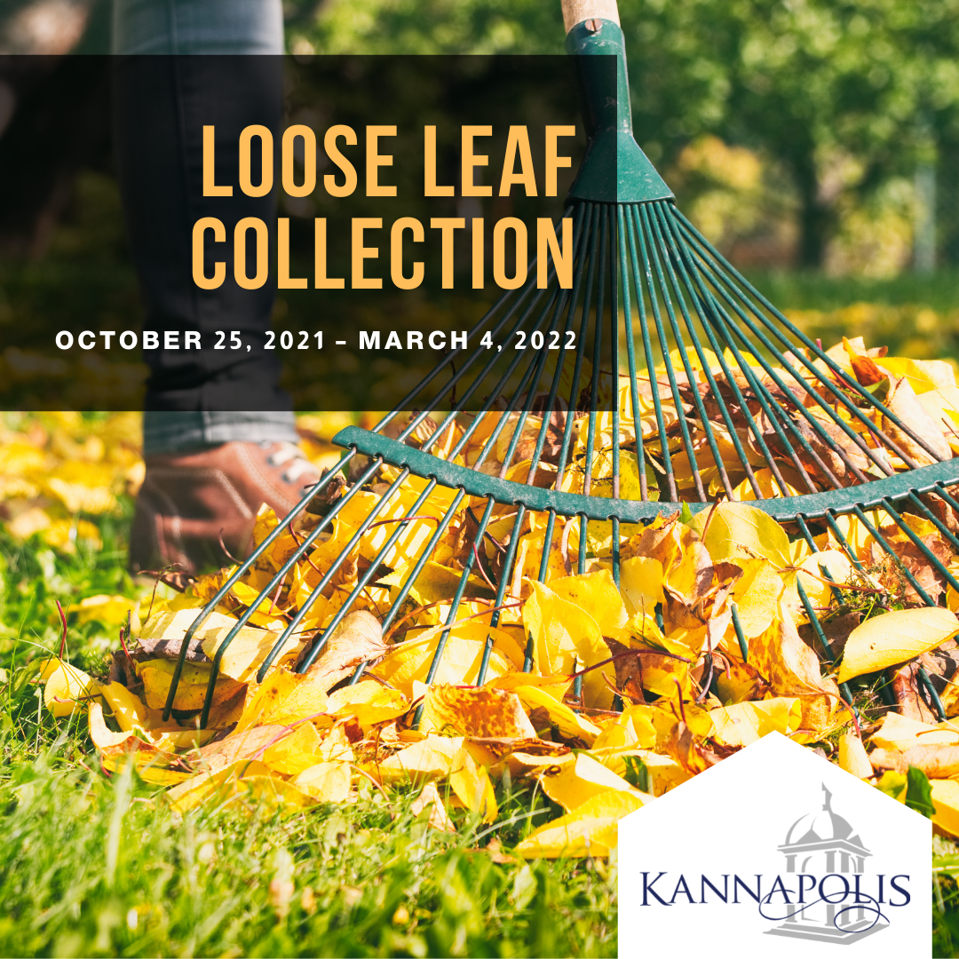 Loose leaf collection