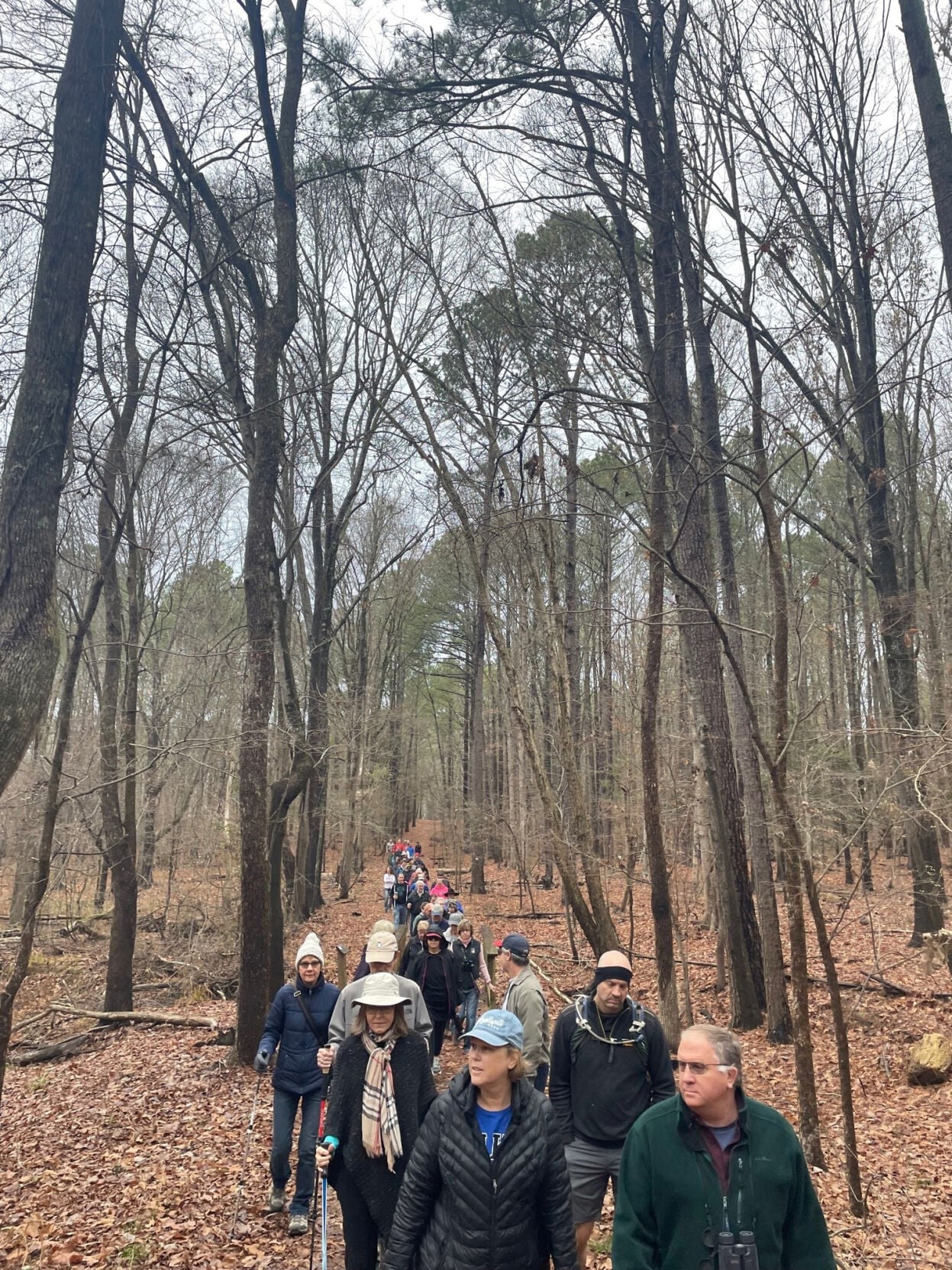 New Year's Day hike