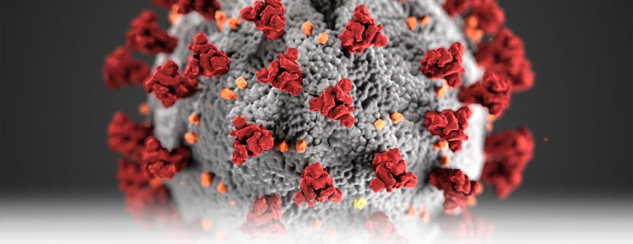 coronavirus big read crop