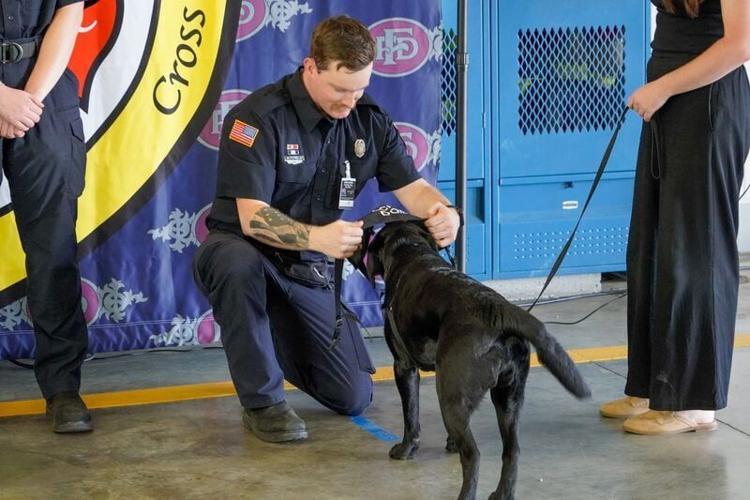 Lucy, a crisis response dog, officially became part of the Fayetteville Fire Department during a vesting ceremony Wednesday, April 8, 2026, at Fire Station 14 on Langdon Street in Fayetteville.