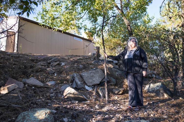 The Park 10 - root cellar