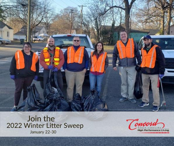 Litter sweep