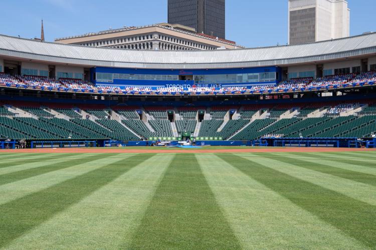 Outfield (copy)
