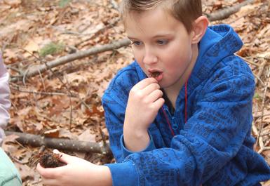 Students get hands dirty in outdoor learning