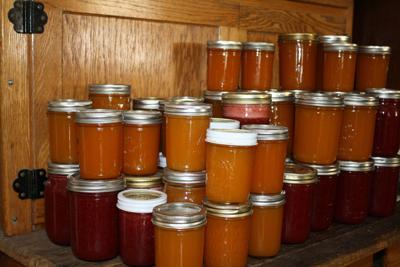 Food preservation classes