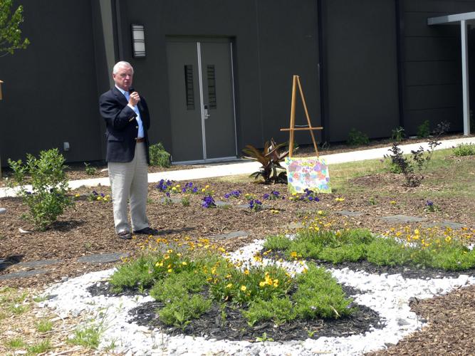 Rachel's Butterfly Garden