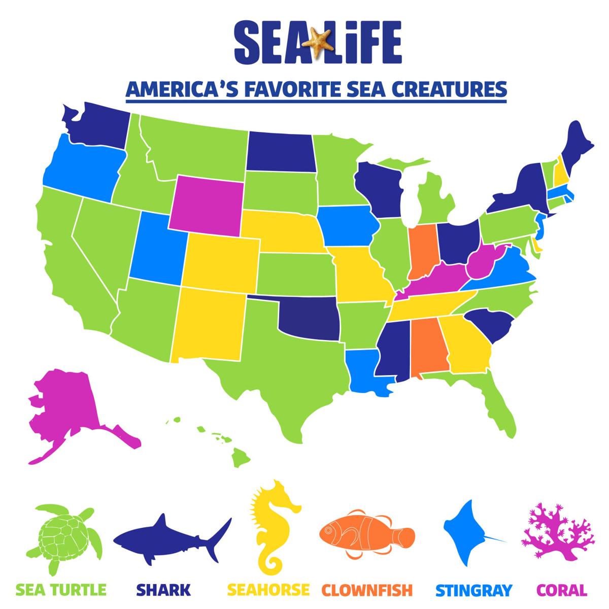 SEALIFE poll