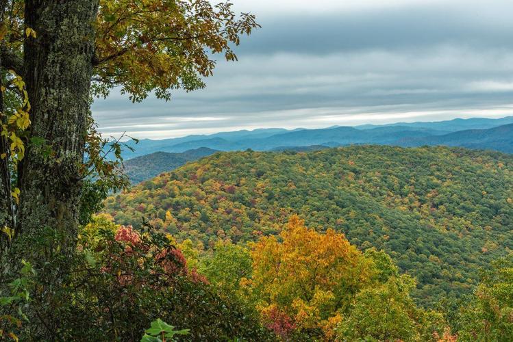 2026 Blue Ridge Fall Color Report: Sept. 24 - Oct. 1