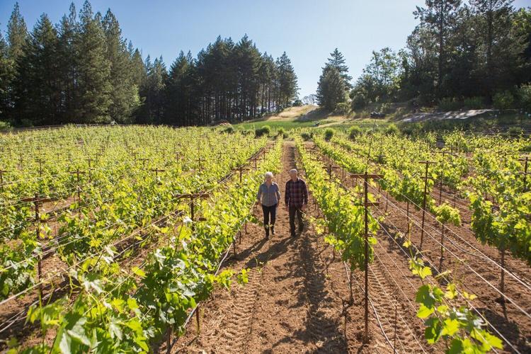 Clif Family Winery 2