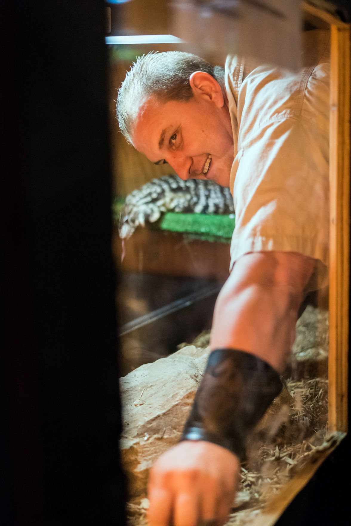 Photos Reptile wrangler mulls plans to grow into a reptile zoo in