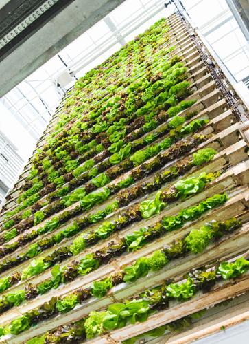 Vertical Harvest Rotating Wall