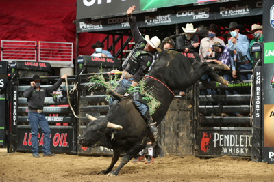 bull rider hangs on