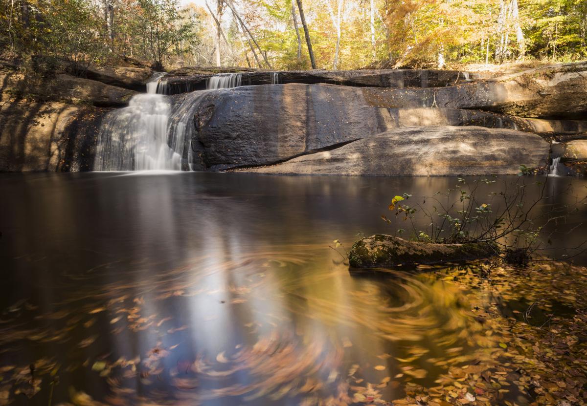 Photos: Mayo River State Park | Gallery ...