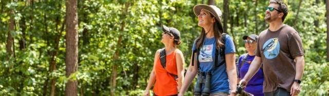 Your Go-To Guide to Catawba County Parks