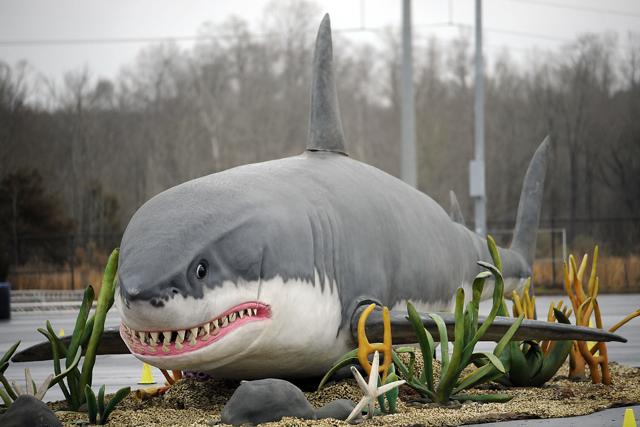 jurassic quest megalodon