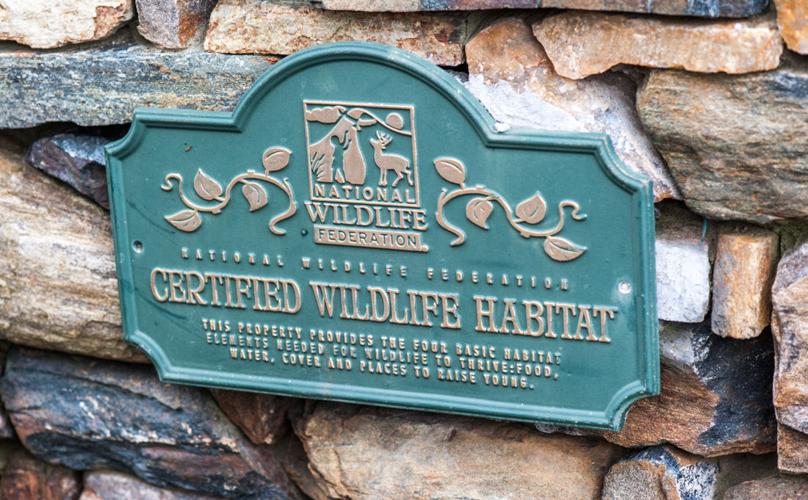 Certified Wildlife Habitat