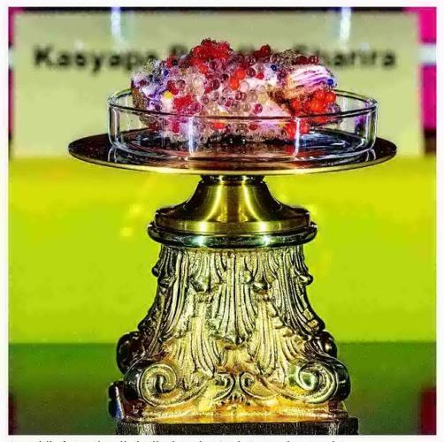BUDDHIST RELICS INSPIRE BELIEF