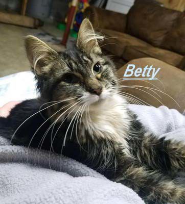 03-24 Pet of the Week Betty.jpg