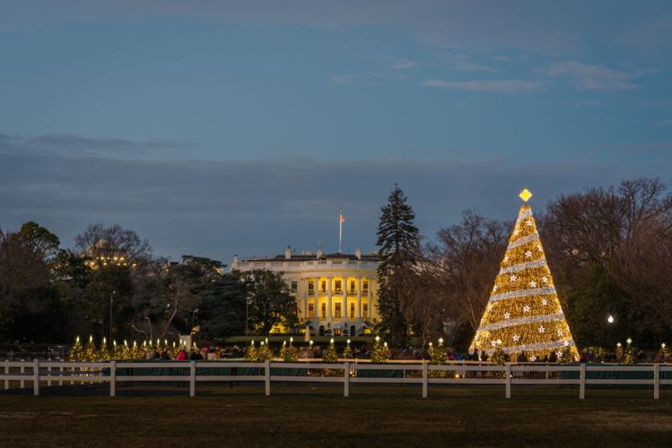 The National Christmas Tree and White House at night, in Washington, DC.
