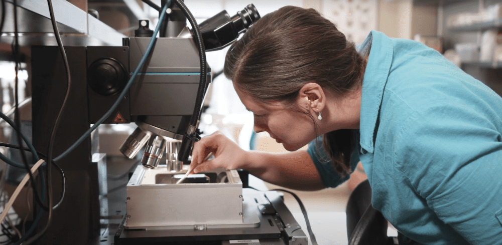 Charlotte microscope