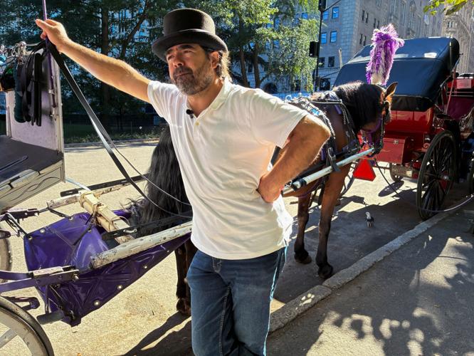 NEW YORK-HORSES/