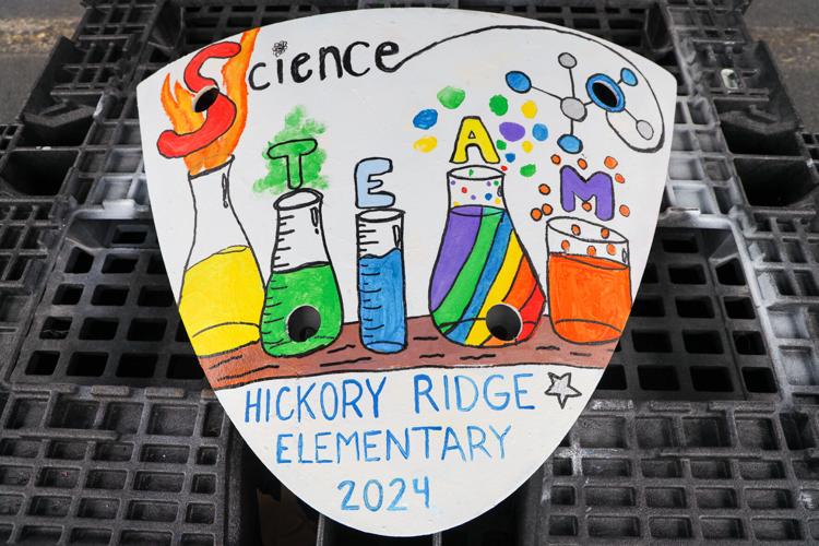 Hickory Ridge turtle