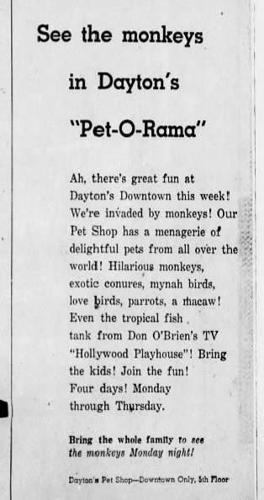 20 colum monkey ad