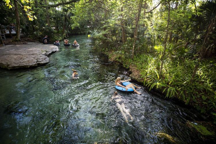 Visitors enjoy the recently reopened swimming area and tube run in Rock Springs at Kelly Park in Apopka on Tuesday, March 16, 2021.