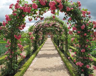 Rose gardens