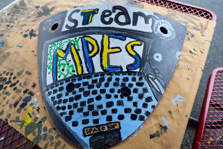 Mount Pleasant turtle