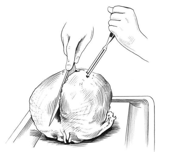 5 Carve a turkey -- Breast