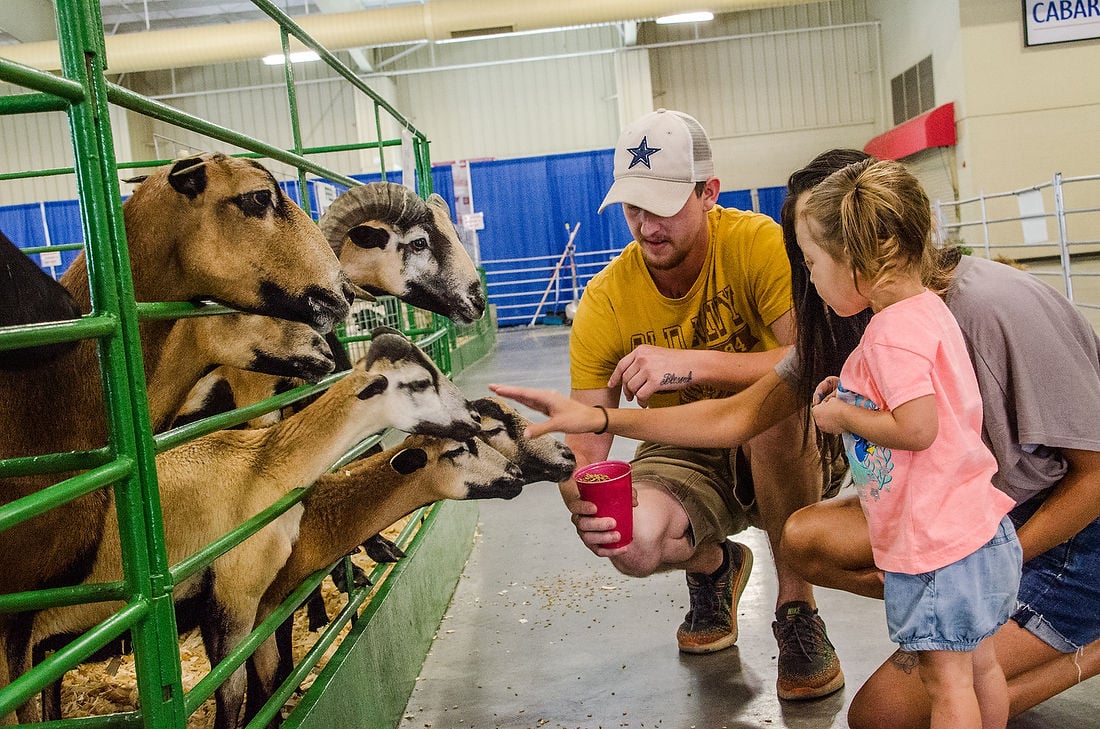 Cabarrus County Fair | Gallery | Independenttribune.com