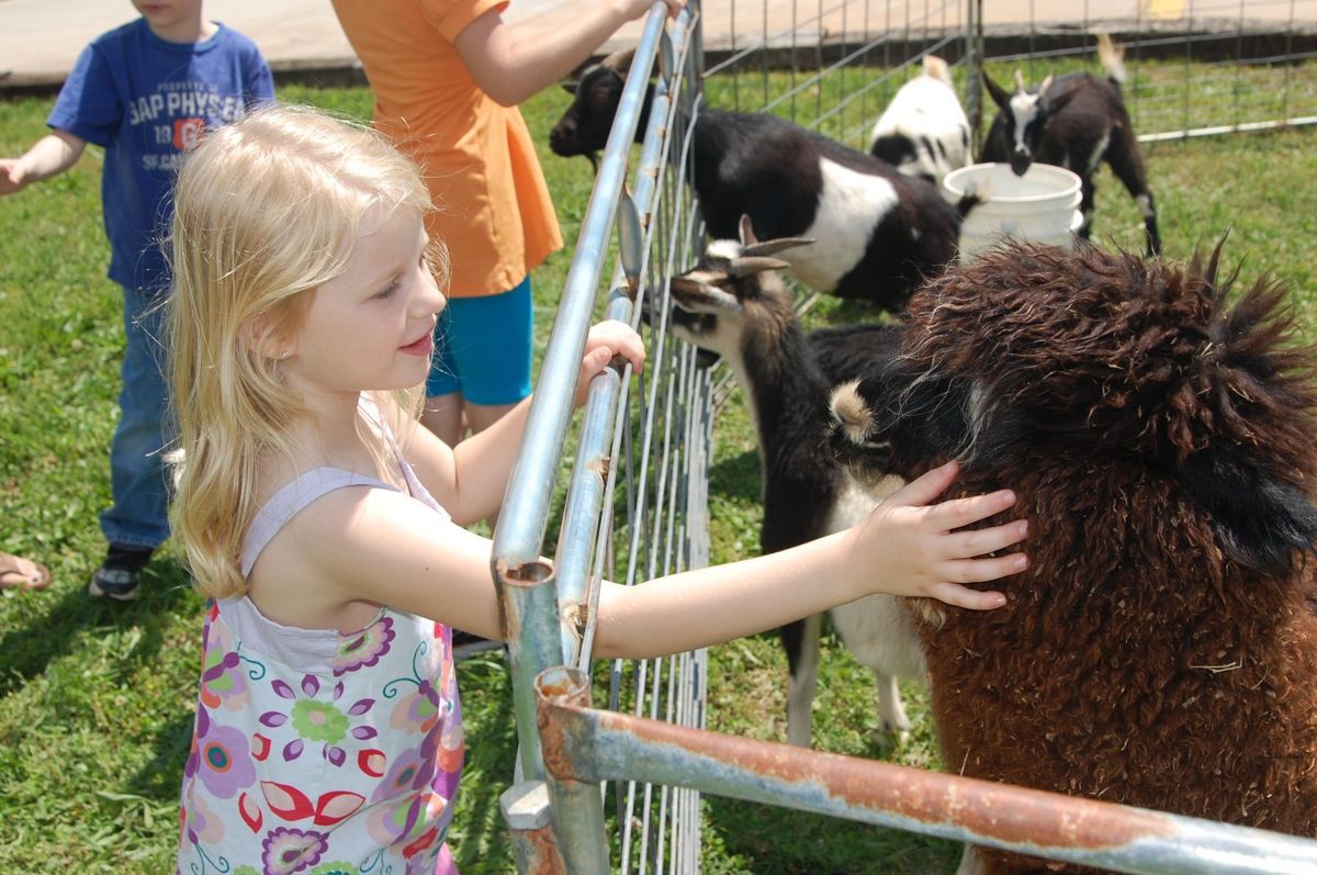 5-4 Front porch fest.jpg