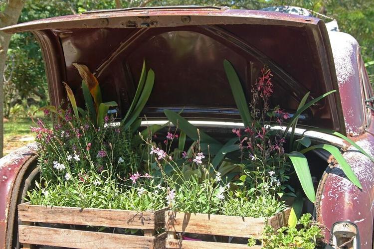 vintage-car-with-plants-in-boot-2851391_960_720.jpg