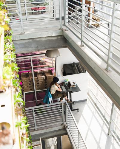 Vertical Harvest staff 2