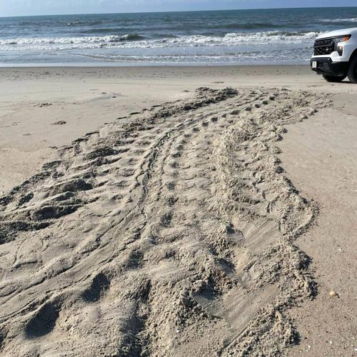 Cape Hatteras National Seashore
