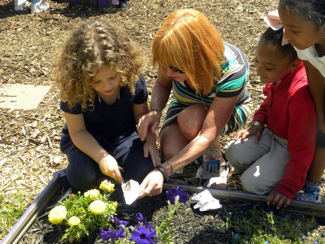 Rachel's Butterfly Garden