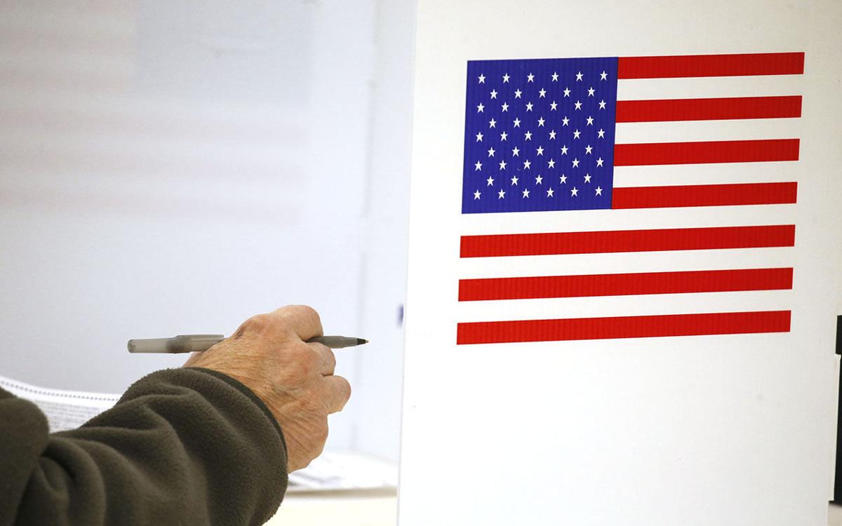 Voting (copy)