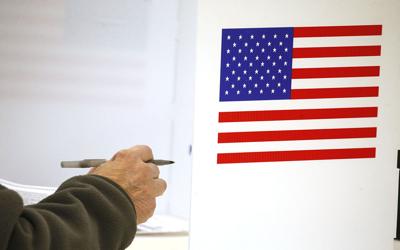 Voting (copy)