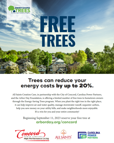 Trees.png