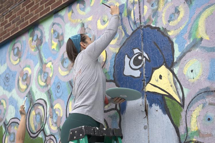 Peacock mural