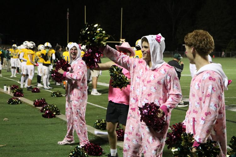 Some Vikings students take a turn at cheerleading