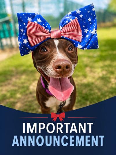 Cabarrus Animal Shelter